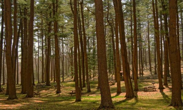 深度关注：肝炎并非“年轻人的病” 老年人感染后更易“闹出大动静”